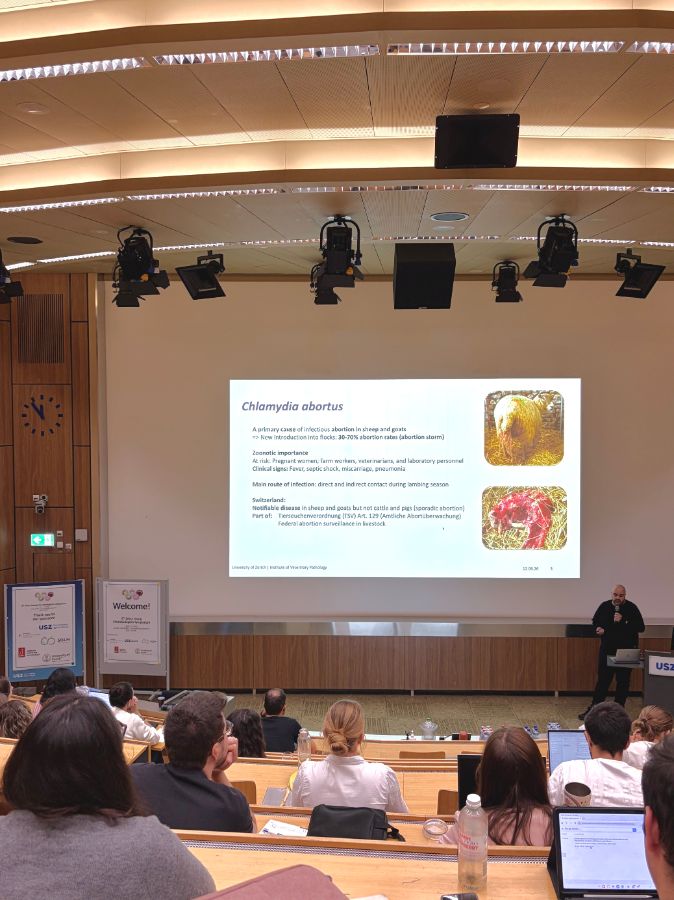 Efe Altuntaş presenting his research on Chlamydia abortus survival in the ruminant placenta.